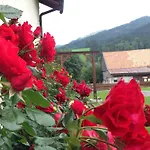 Bergquell Tirol