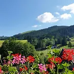 Bergquell Tirol Lejlighed Jungholz