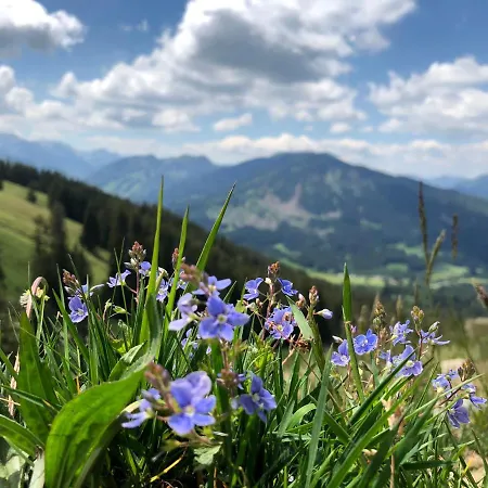 Bergquell Tirol Lägenhet