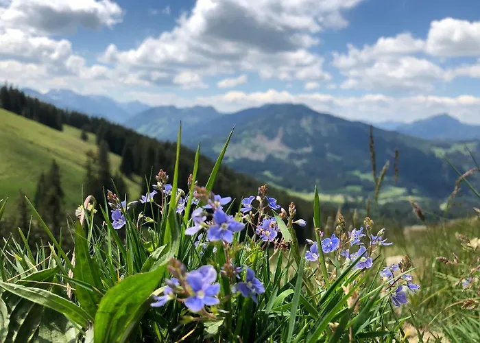 Bergquell Tirol Apartmán