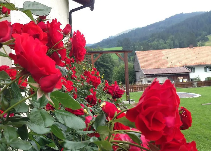 Bergquell Tirol
