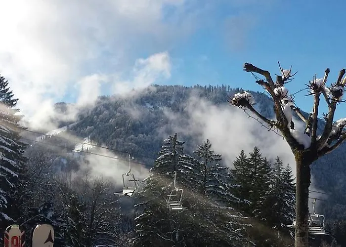 Bergquell Tirol