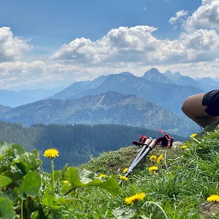 Apartment Bergquell Tirol